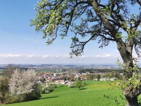 Pimshof Blick auf Biberbach, © Brigitte Hofschwaiger