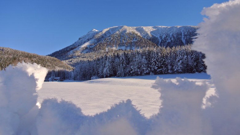 Ybbstaler Alpen, Tourismusinformation Lackenhof am Ötscher, © Marika Roth