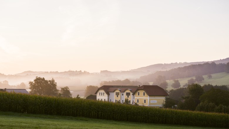 Gafringwirt, © Niederösterreich Werbung/ Julius Hirtzberger