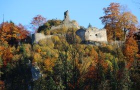 Burgruine Hohenberg, © Marktgemeinde Hohenberg