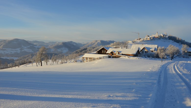 Biohof Ebenbauer im Winter, © Gottfried & Rosina Wagner