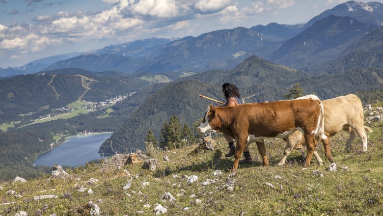 Ausblick auf den Erlaufsee, © Theo Kust