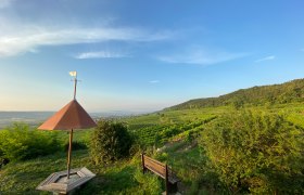 Herrliche Aussichten vom Parapluiberg, © Walter Pernikl