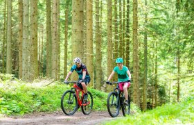 MTB_Wald, © Wolfgang Wutzl