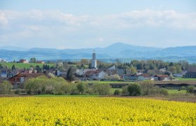 Marktgemeinde Prinzersdorf, © Daniel Strobl