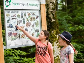 Naturlehrpfad Annaberg, © Mostviertel