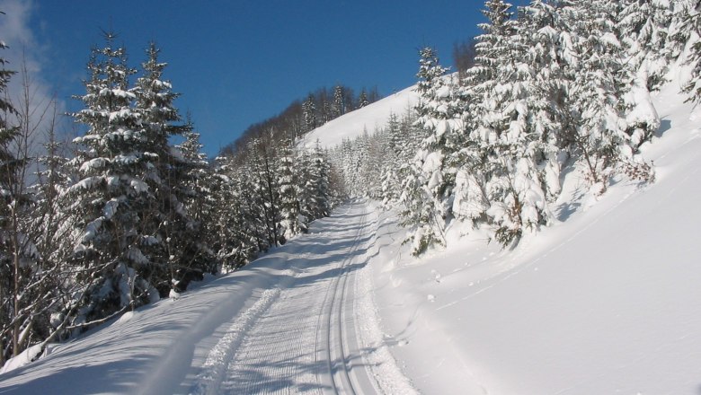 Cross-country ski tracks Puchenstuben with beautiful views, © Gemeinde Puchenstuben