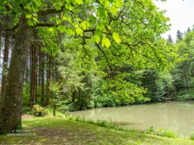 Idyllische Teiche säumen den Weg, © Theo Kust