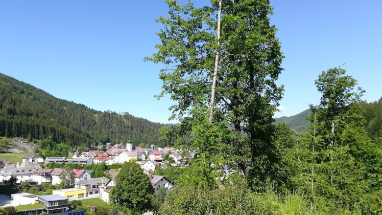 Aussicht vom Haus, © Fam. Bachler