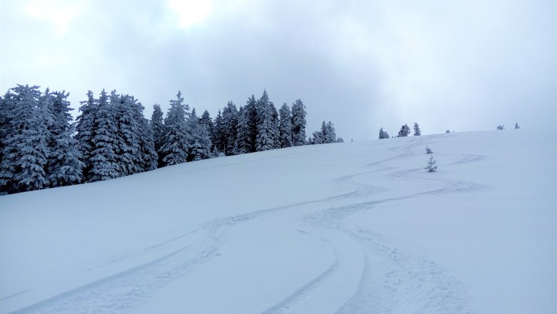 Fresh traces in the powder, © Mostviertel Tourismus