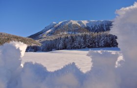 Ötscher im Winterkleid, © Marika Roth