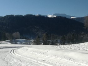 Panoramaloipe, © Nordisches Zentrum St. Aegyd