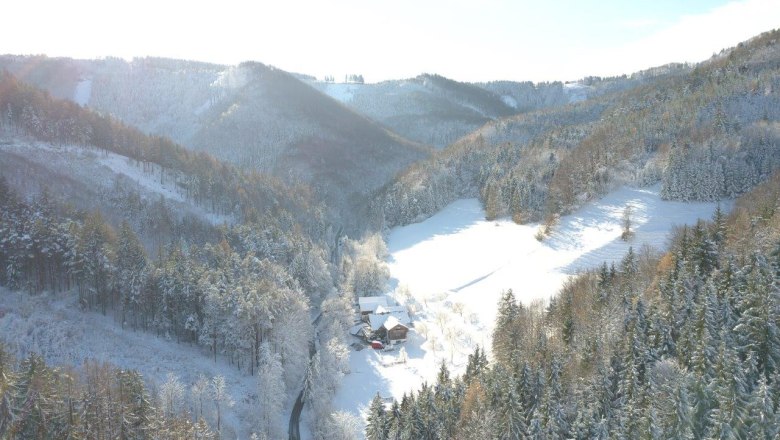 biohof-lueg-im-stillen-winterwald, © zVg Fam. Fallmann