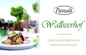 Wallseerhof, © Patzalt