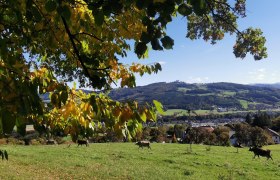 Blick auf Sonntagberg, © Brigitte Hofschwaiger