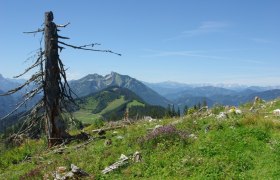 Haute Route 11. Etappe: Göstling – Hollenstein, © Mostviertel