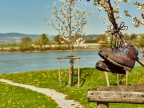 Rastmöglichkeit am Weitwanderweg Nibelungengau in Ybbs, © Donau Niederösterreich / Klaus Engelmayer