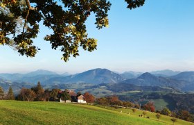 Blick über die weitläufige Landschaft am Panoramahöhenweg, © weinfranz.at