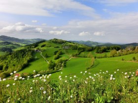 Ausblick "Stuben", © Mostviertel