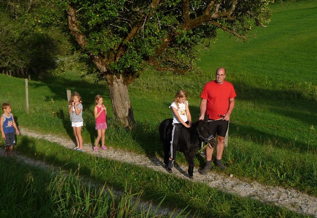 Spaziergang Ferienstadl Hammerau, © zVg