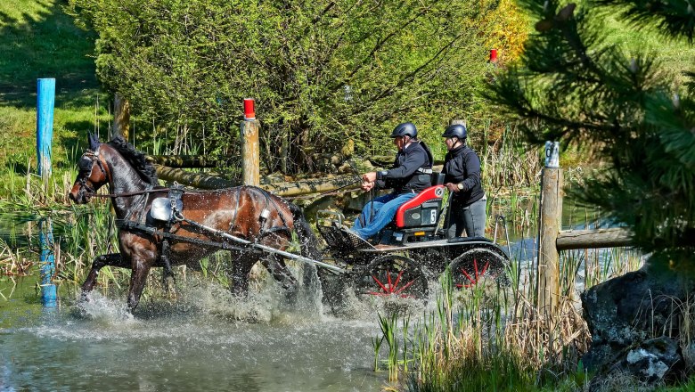 Fahr- und Reitverein Karlstetten, © Gerty Schabas