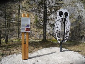 Eulenweg im Wildnisgebiet Dürrenstein, © Reinhard Pekny