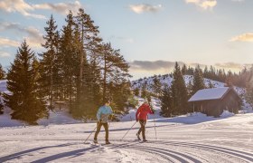 Cross-country skiing in St. Aegyd am Neuwalde, © schwarz-koenig.at