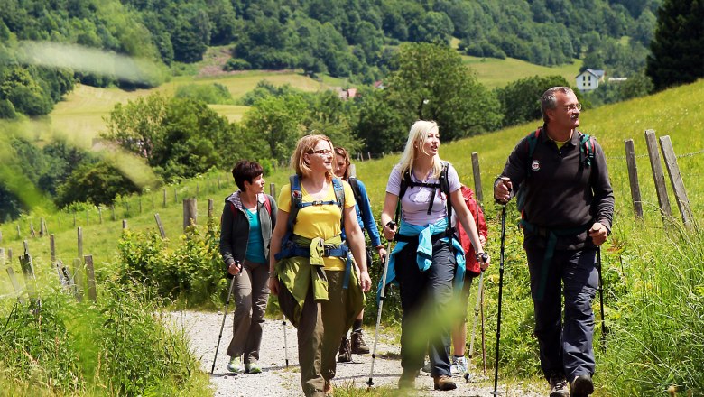 Wandern und Natur genießen, © weinfranz.at