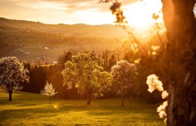 Fotopunkt Birnbäume Sonnenuntergang, © schwarz-koenig.at