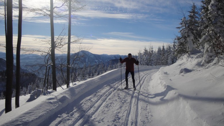 Cross-country ski tracks Puchenstuben with beautiful views, © Gemeinde Puchenstuben