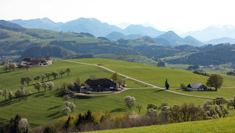 Fotopunkt Voralpenkreuz, © schwarz-koenig.at