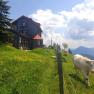 Julius Seitner Hütte, © Martina Bauer