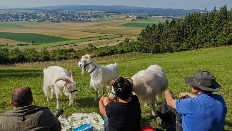 Naturerlebnis mit Kaschmirziegen, © W.I.I.TT