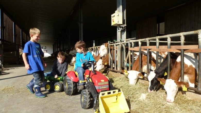 Kerndlerhof Kinder im Stall, © Kerndlerhof