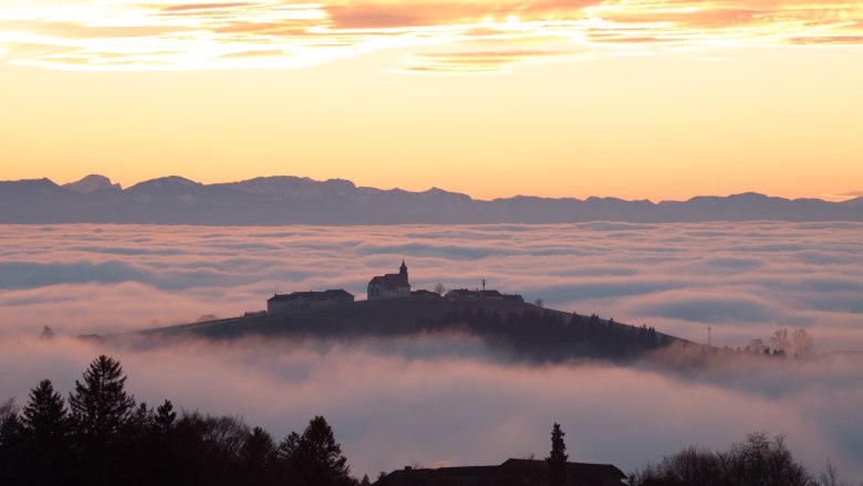 Ausblick von Kollmitzberg, © Thomas Steiner