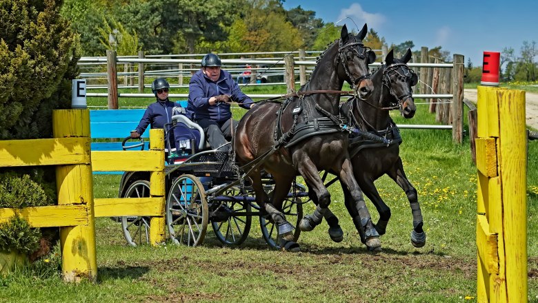 Fahr- und Reitverein Karlstetten, © Gerty Schabas