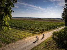 Das Weinland Traisental, © Mostviertel