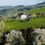 tiny-houses-birner-3, © Sandra Gartlehner