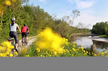 Radfahren am Traisentalradweg, © Mostviertel Tourismus, weinfranz.at