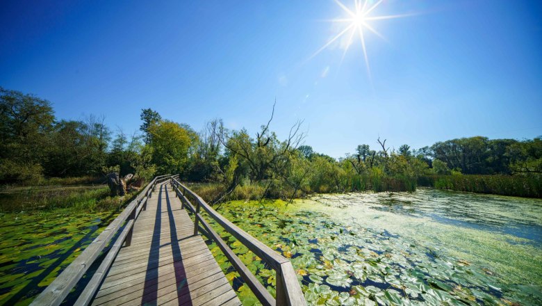 St. Pölten, Nature Park Feldmühle, © SEPA.Media/Josef Bollwein