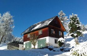 Winter Ferienhaus Zwickelreith, © Familie Roseneder