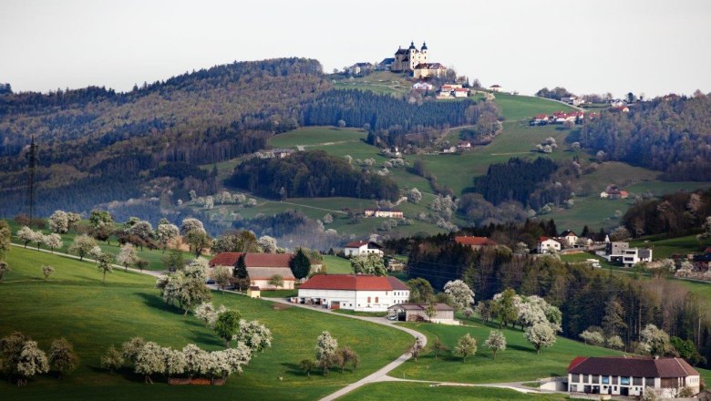 Fotopunkt Barthof Blick Sonntagberg, © schwarz-koenig.at