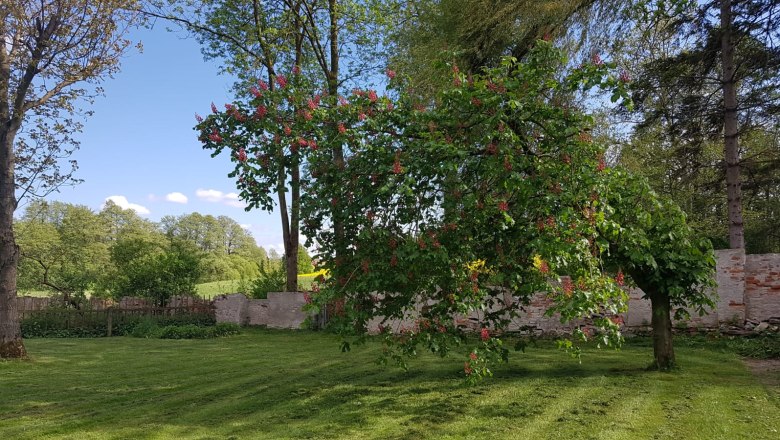 Schlossgarten, © Oliver Szilagyi