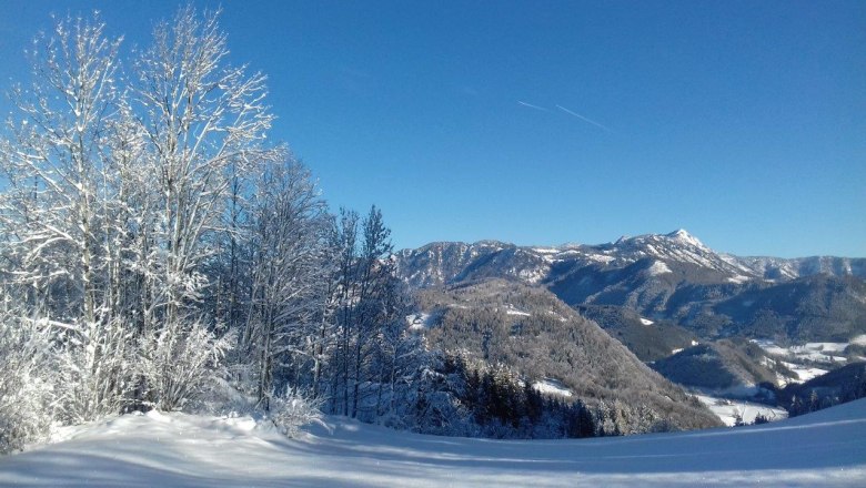 Winterwunderland Zwickelreith, © Familie Roseneder