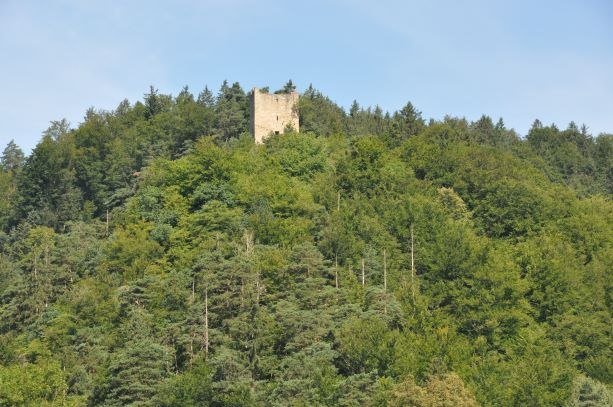 Ruine Freyenstein, © Marktgemeinde Neustadtl an der Donau